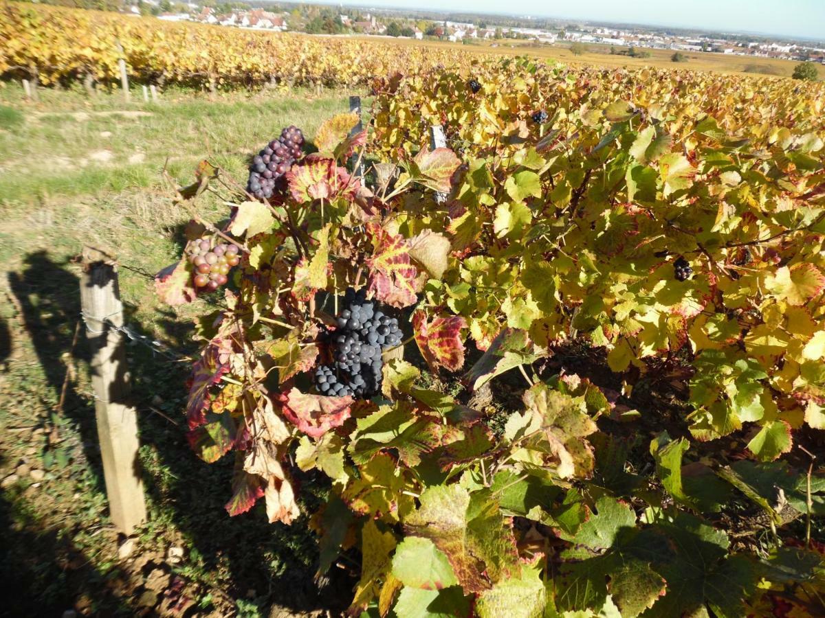 Chambres D'Hotes En Cote D'Or Corcelles-lès-Cîteaux Esterno foto