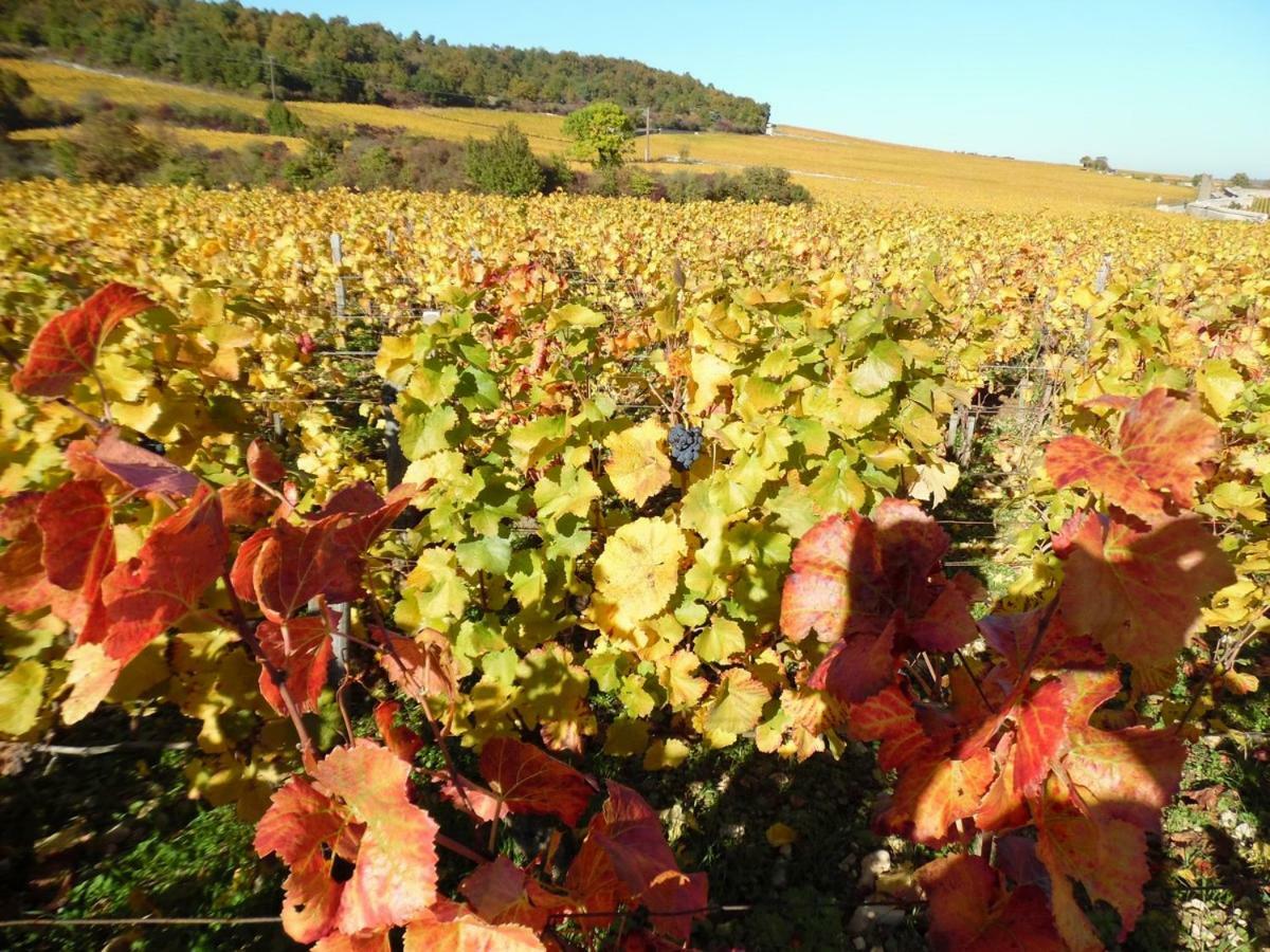 Chambres D'Hotes En Cote D'Or Corcelles-lès-Cîteaux Esterno foto